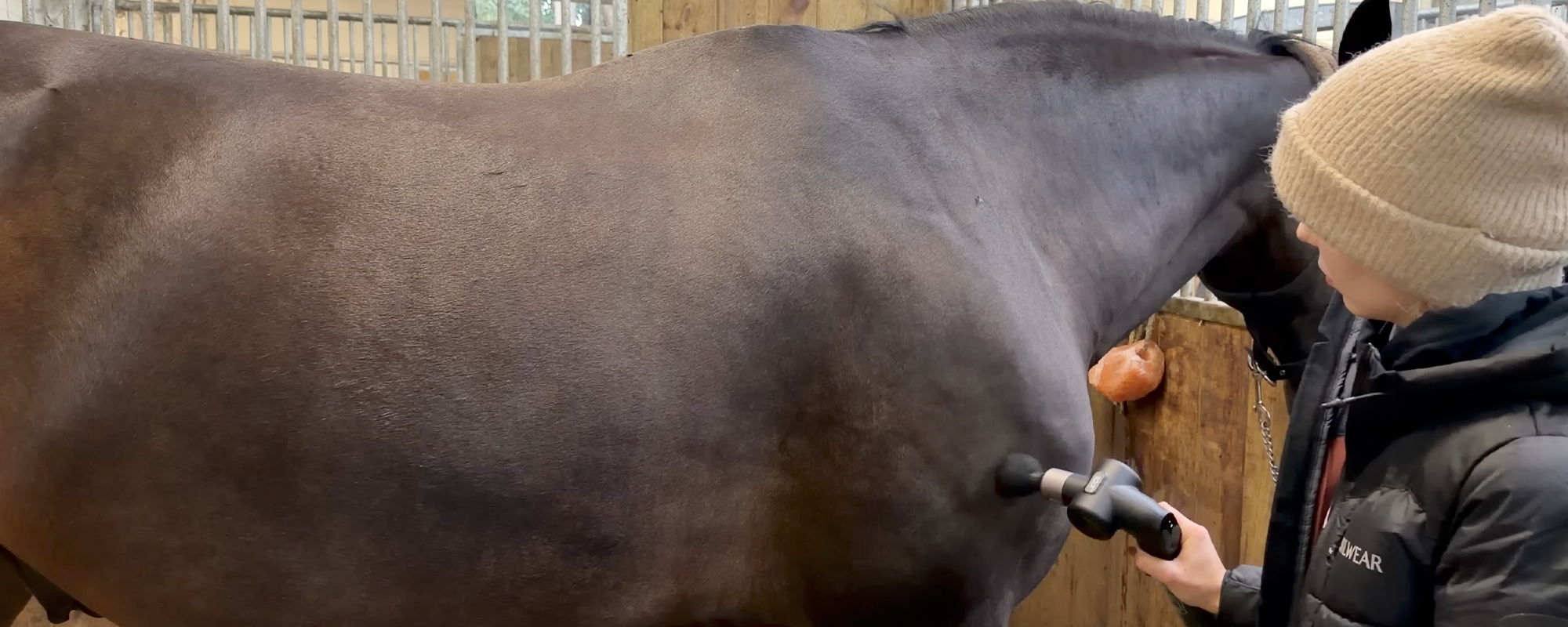 Pistolet do masażu dla koni – jak wspierać regenerację i zdrowie Twojego wierzchowca?